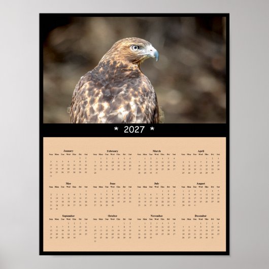 2027 Roodstaartbuizerd Muurkalender - Wild Horizon Poster (Voorkant)