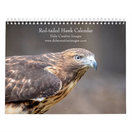2027 Roodstaartbuizerds | Noord-Amerikaanse Havik Kalender (Hoes)