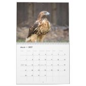 2027 Roodstaartbuizerds | Noord-Amerikaanse Havik Kalender (Mar 2027)