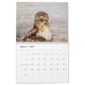 2027 Roodstaartbuizerds | Noord-Amerikaanse Havik Kalender (Feb 2027)