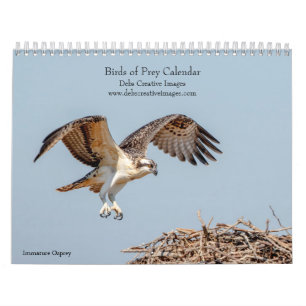 2027 Roofvogels van Noord-Amerika, Roofvogelfoto's Kalender