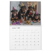 2027 Rottweiler hondenkalender Kalender (Jan 2027)