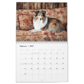 2027 Rough Collies Kalender (Feb 2027)