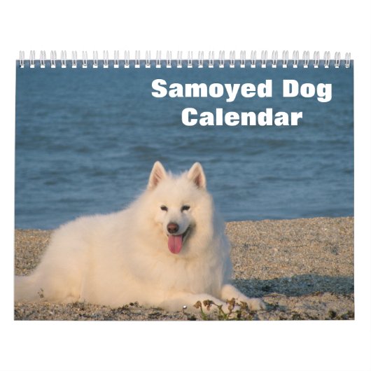 2027 Samoyed hond Kalender (Hoes)