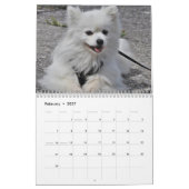2027 Samoyed hond Kalender (Feb 2027)