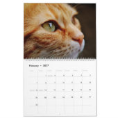2027 Schattige Oranje Tabby Katten Kittens Kalender (Feb 2027)