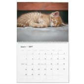 2027 Schattige Oranje Tabby Katten Kittens Kalender (Mar 2027)