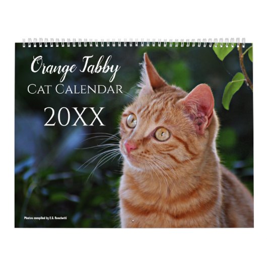 2027 Schattige Oranje Tabby Katten Kittens Kalender (Hoes)