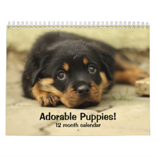 2027 Schattige Puppies Twaalf Maanden Hond Kalender