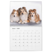 2027 Shetland Sheepdog Kalender (Mar 2027)