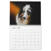 2027 Shetland Sheepdog Kalender (Jan 2027)