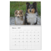 2027 Shetland Sheepdog Kalender (Feb 2027)