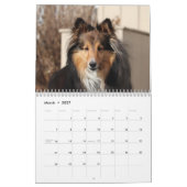 2027 Shetland Sheepdog Kalender (Mar 2027)
