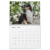 2027 Shetland Sheepdog Kalender (Feb 2027)