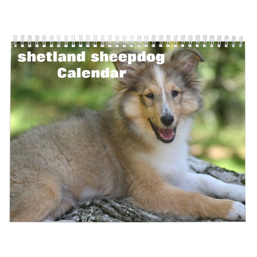 2027 Shetland Sheepdog Kalender (Hoes)