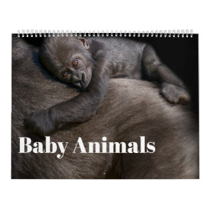 2027 Signature Baby Dieren Kalender