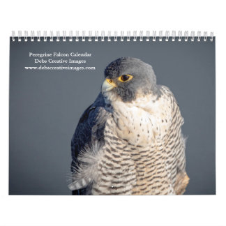2027 Slechtvalk | Snelste Vogel ter Wereld Kalender