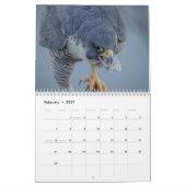 2027 Slechtvalk | Snelste Vogel ter Wereld Kalender (Feb 2027)