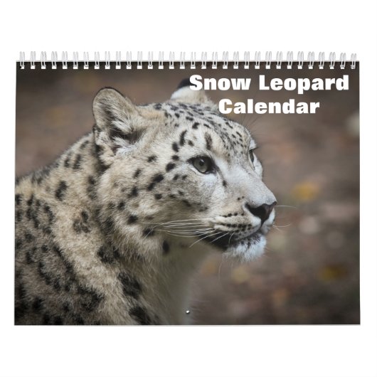 2027 Sneeuwluipaard Kalender (Hoes)
