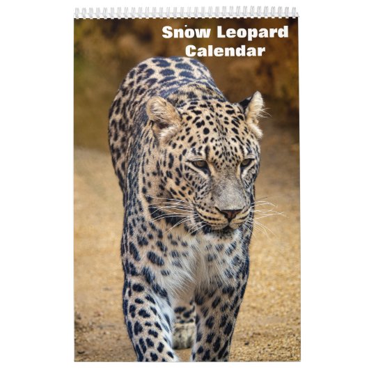 2027 Sneeuwluipaard Kalender (Hoes)