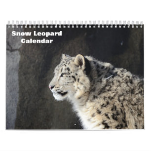 2027 Sneeuwluipaard Kalender