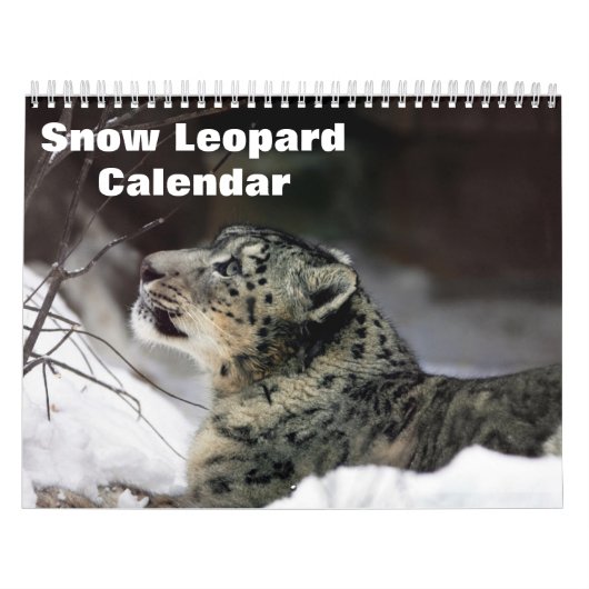 2027 Sneeuwluipaard Kalender (Hoes)