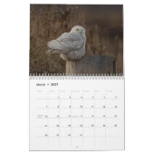 2027 Sneeuwuilen van de Connecticut-kust Kalender (Mar 2027)