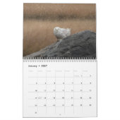 2027 Sneeuwuilen van de Connecticut-kust Kalender (Jan 2027)