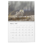 2027 Sneeuwuilen van de Connecticut-kust Kalender (Feb 2027)