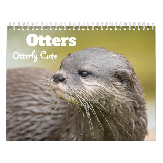 2027 Speelse Otters Foto Kalender (Hoes)