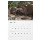 2027 Speelse Otters Foto Kalender (Mar 2027)
