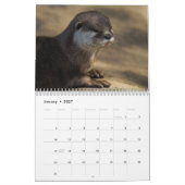 2027 Speelse Otters Foto Kalender (Jan 2027)