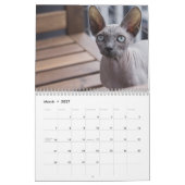 2027 Sphynx Kitten Kalender (Mar 2027)