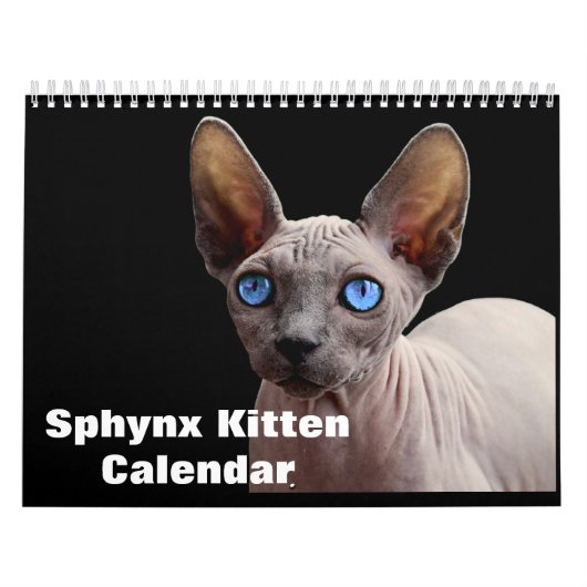 2027 Sphynx Kitten Kalender (Hoes)