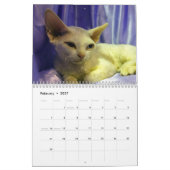 2027 Sphynx Kitten Kalender (Feb 2027)