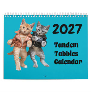 2027 Tandem Tabby Kattenkalender Kalender