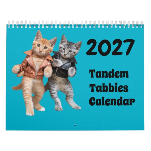 2027 Tandem Tabby Kattenkalender Kalender (Hoes)