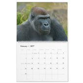 2027 Timeless Lope Blackback Gorilla Kalender (Feb 2027)