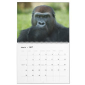 2027 Timeless Lope Blackback Gorilla Kalender (Mar 2027)