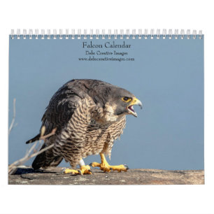 2027 Valken Meesters van Snelheid & Vlucht Kalender