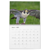 2027 Valken | Meesters van Snelheid & Vlucht Kalender (Mar 2027)