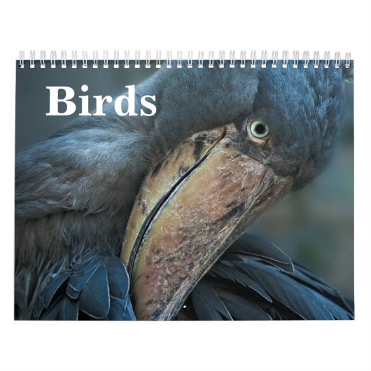 2027 Vogels Kalender (Hoes)