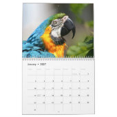 2027 Vogels Kalender (Jan 2027)