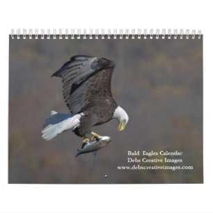 2027 Volwassen Witkopzeearenden Natuurfotografie Kalender