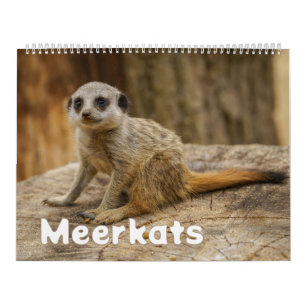 2027 Voor altijd stokstaartje vreugde Kalender