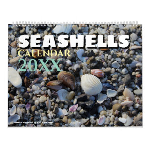 2027 Wall Zee Schelp Strand Schelpen  Kalender