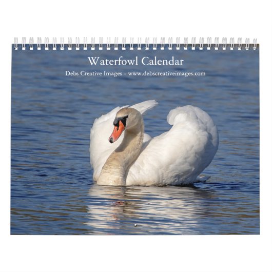 2027 Watervogels & Moerasvogels | Natuurfoto Kalender (Hoes)