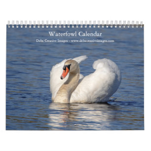 2027 Watervogels & Moerasvogels Natuurfoto Kalender