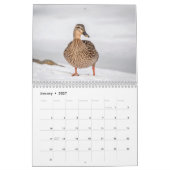 2027 Watervogels & Moerasvogels | Natuurfoto Kalender (Jan 2027)