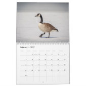 2027 Watervogels & Moerasvogels | Natuurfoto Kalender (Feb 2027)